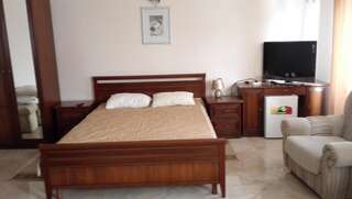 Гостевой дом Guest House Aphyn Leto Гагра Двухместный номер Делюкс с 1 кроватью или 2 отдельными кроватями, вид на горы-11