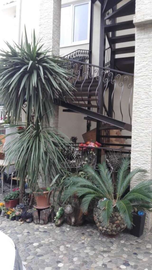 Гостевой дом Guest House Aphyn Leto Гагра-18