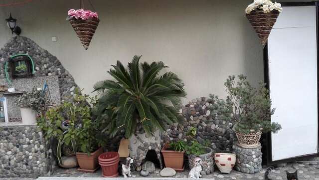 Гостевой дом Guest House Aphyn Leto Гагра-43